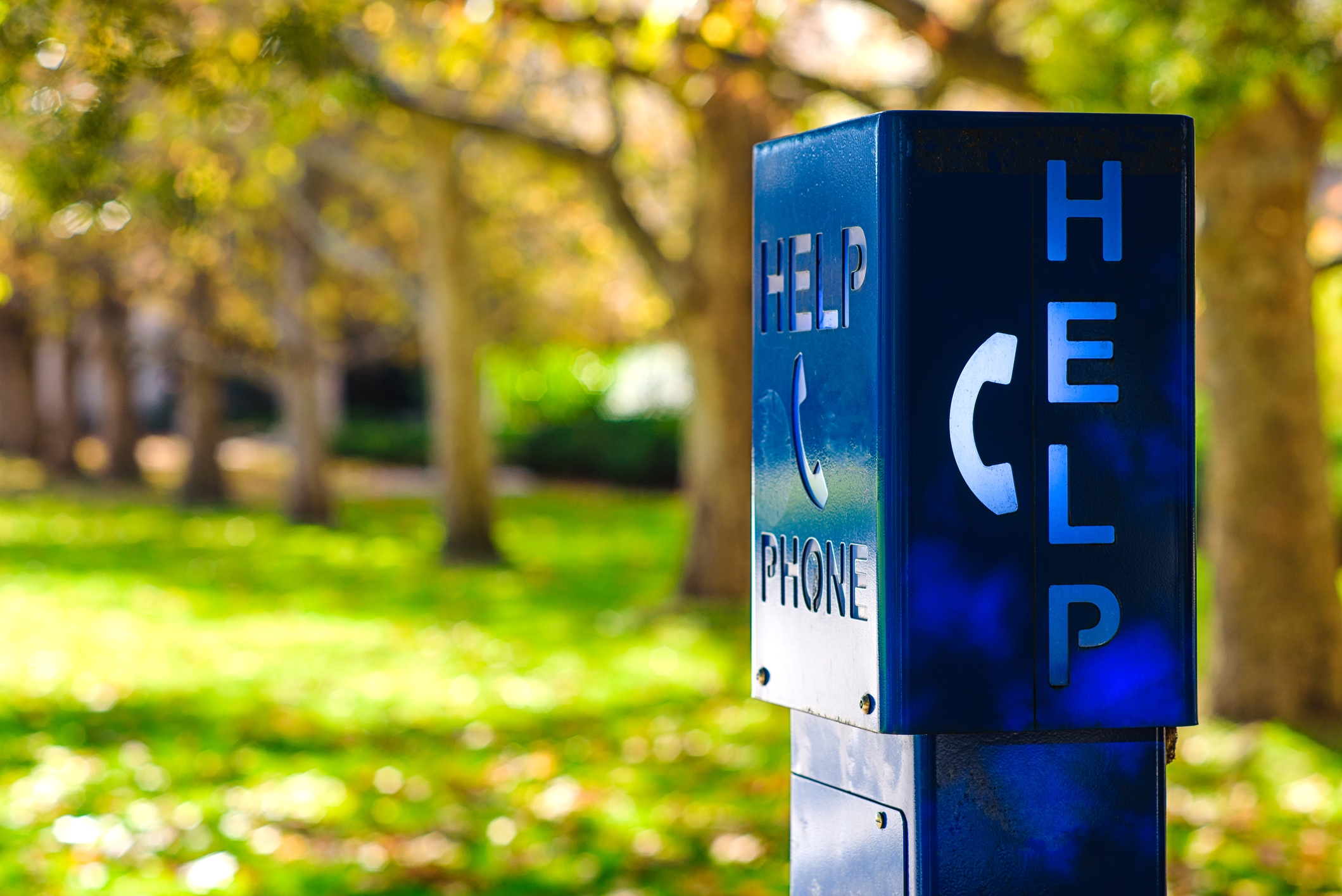 A blue help emergency phone on a college campus.