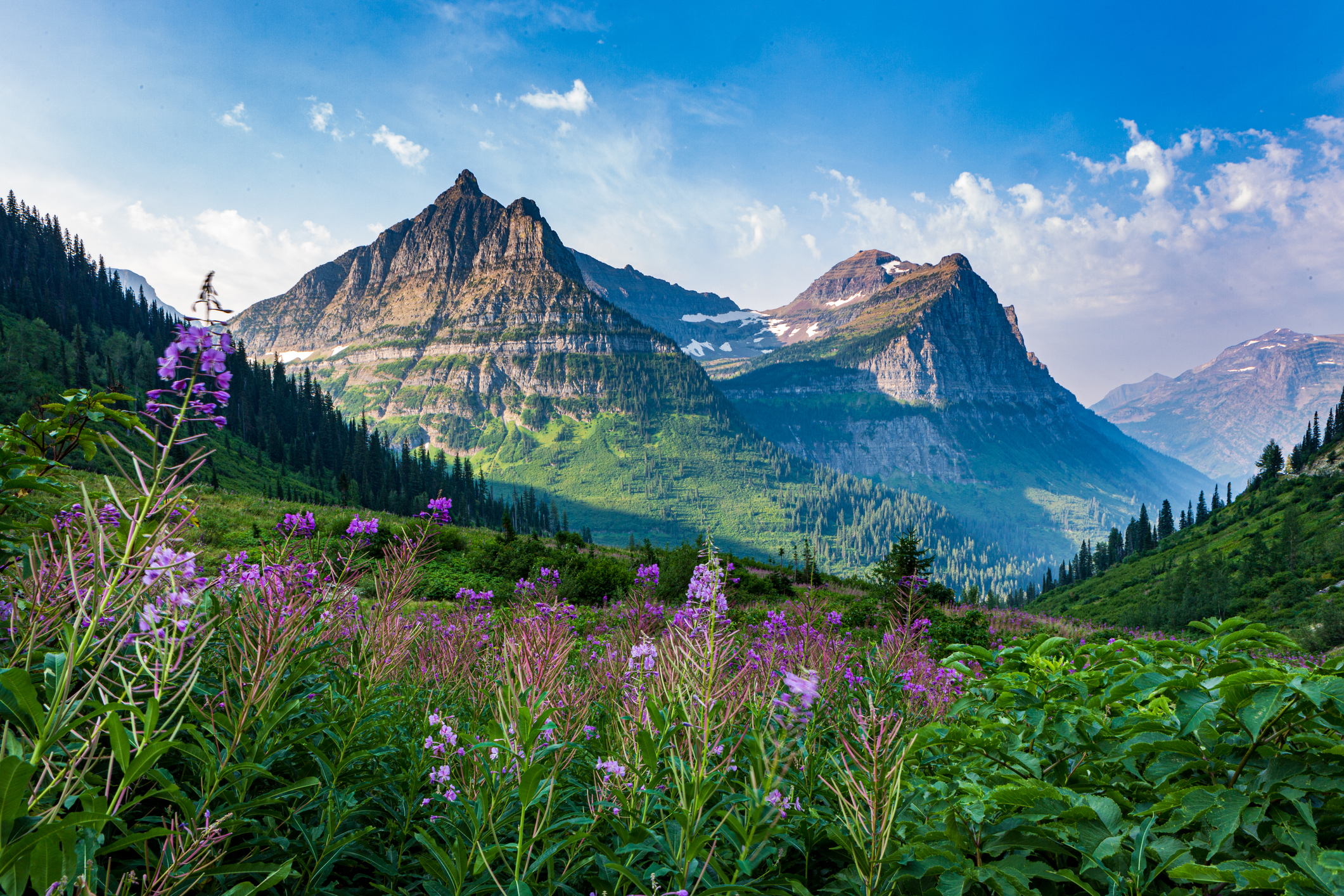 Best Online Colleges in Montana