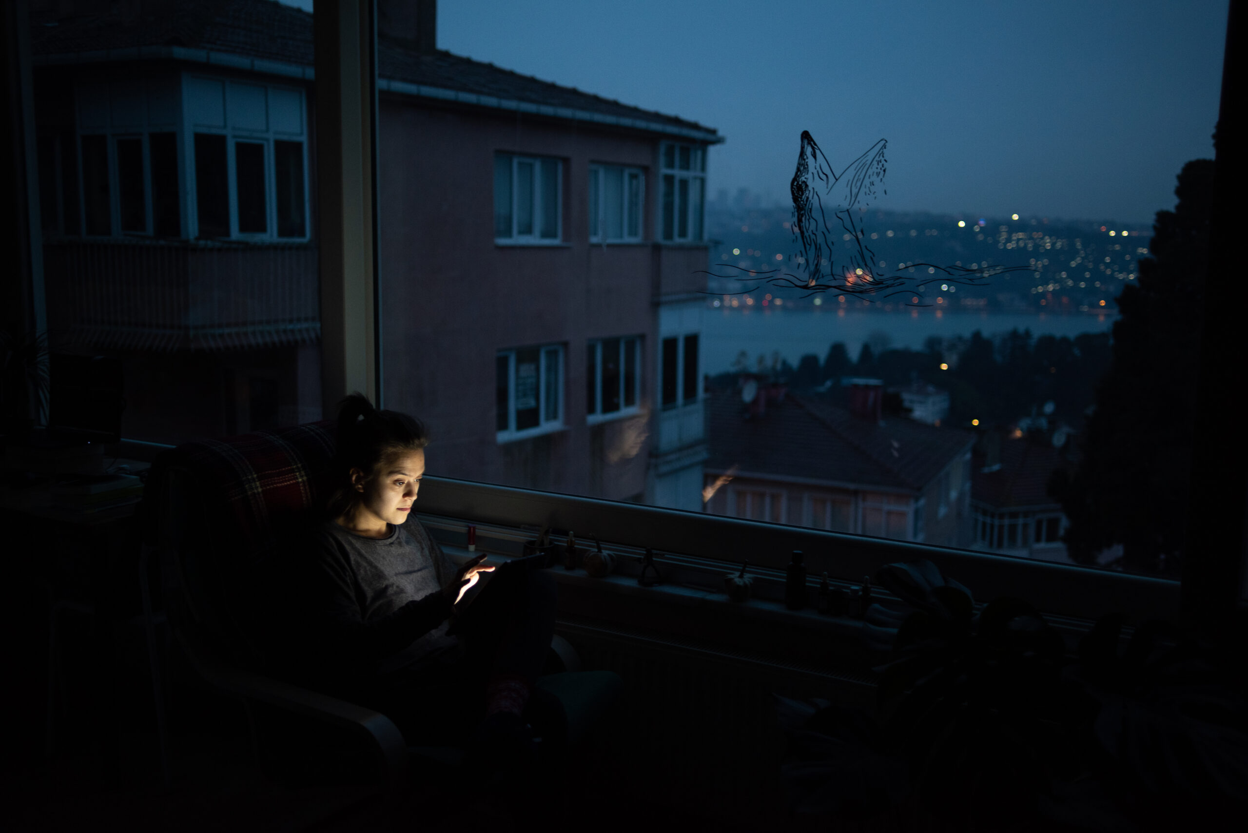 Young woman looking at her screen in front of window