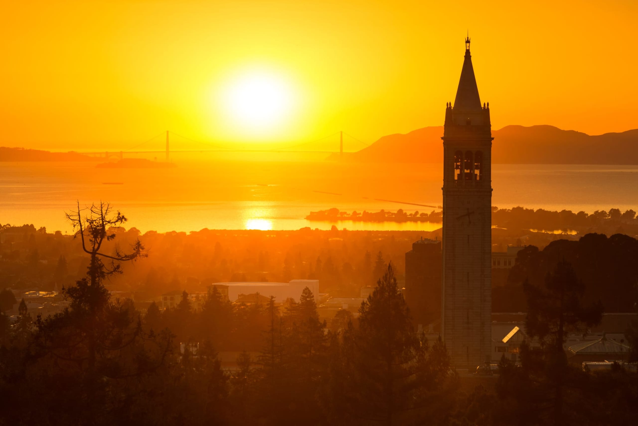 Picture of Berkeley Campanile and Sunset