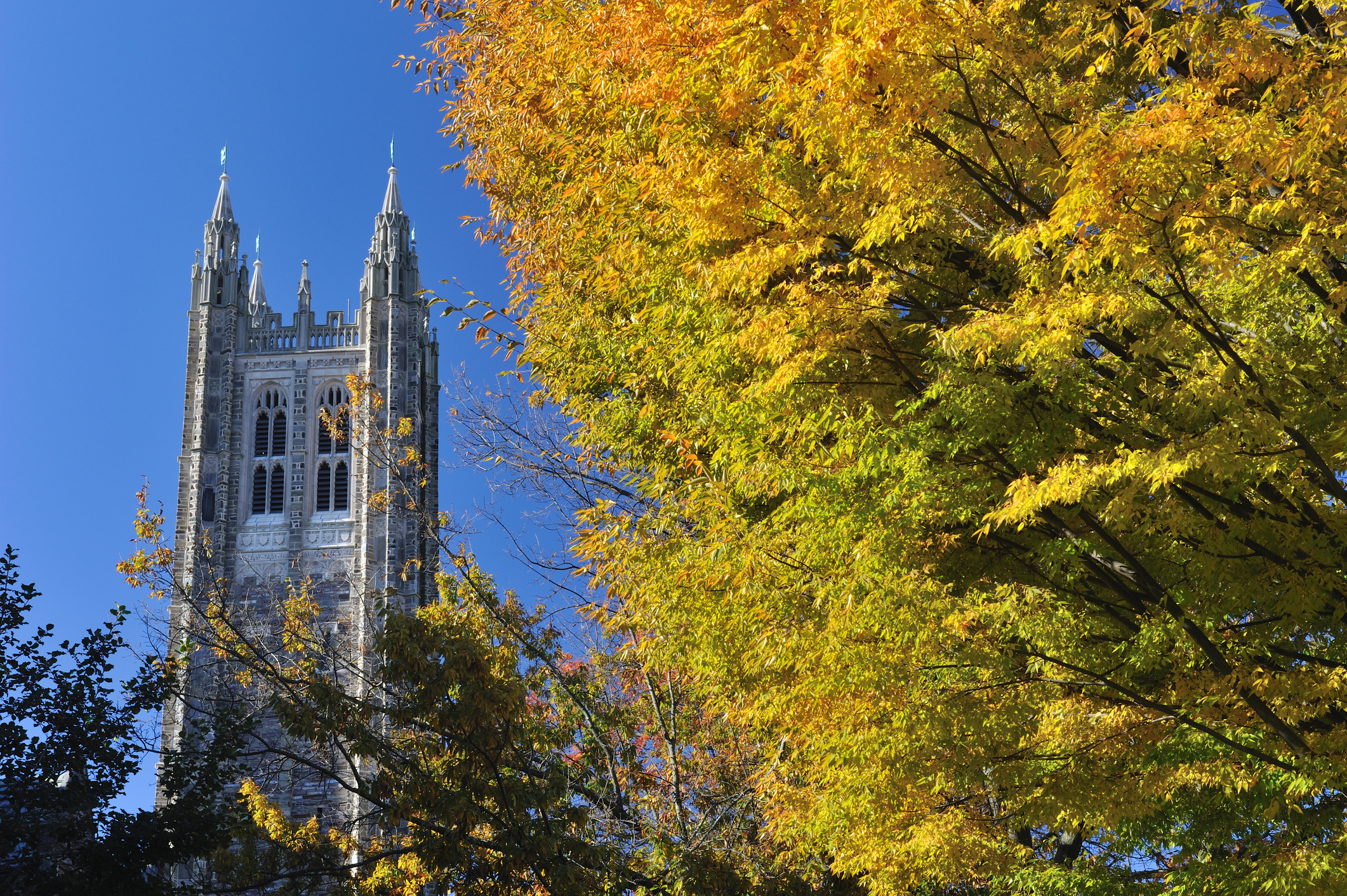 "Princeton, New Jersey, USA - November 5, 2011. Tower of Madison Hall in Princeton University. Princeton University is located in the college town of Princeton in New Jersey, USA. It is one of the top ranking ivy league universities in the United States, offering undergraduate and graduate degrees in various majors."