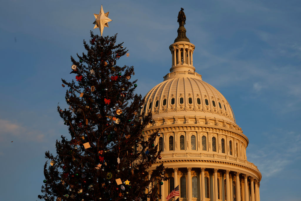 WASHINGTON, DC - NOVEMBER 29: U.S. Capitol Christmas Tree stands on the West Lawn ahead of its lighting ceremony on November 29, 2022 in Washington, DC. The 79-foot-tall red spruce, nickname "Ruby," was cut from the Pisgah National Forest near Lake Toxaway, North Carolina, and is decorated with 12,000 ornaments from 125 communities in 13 different states across the country. (Photo by Chip Somodevilla/Getty Images)