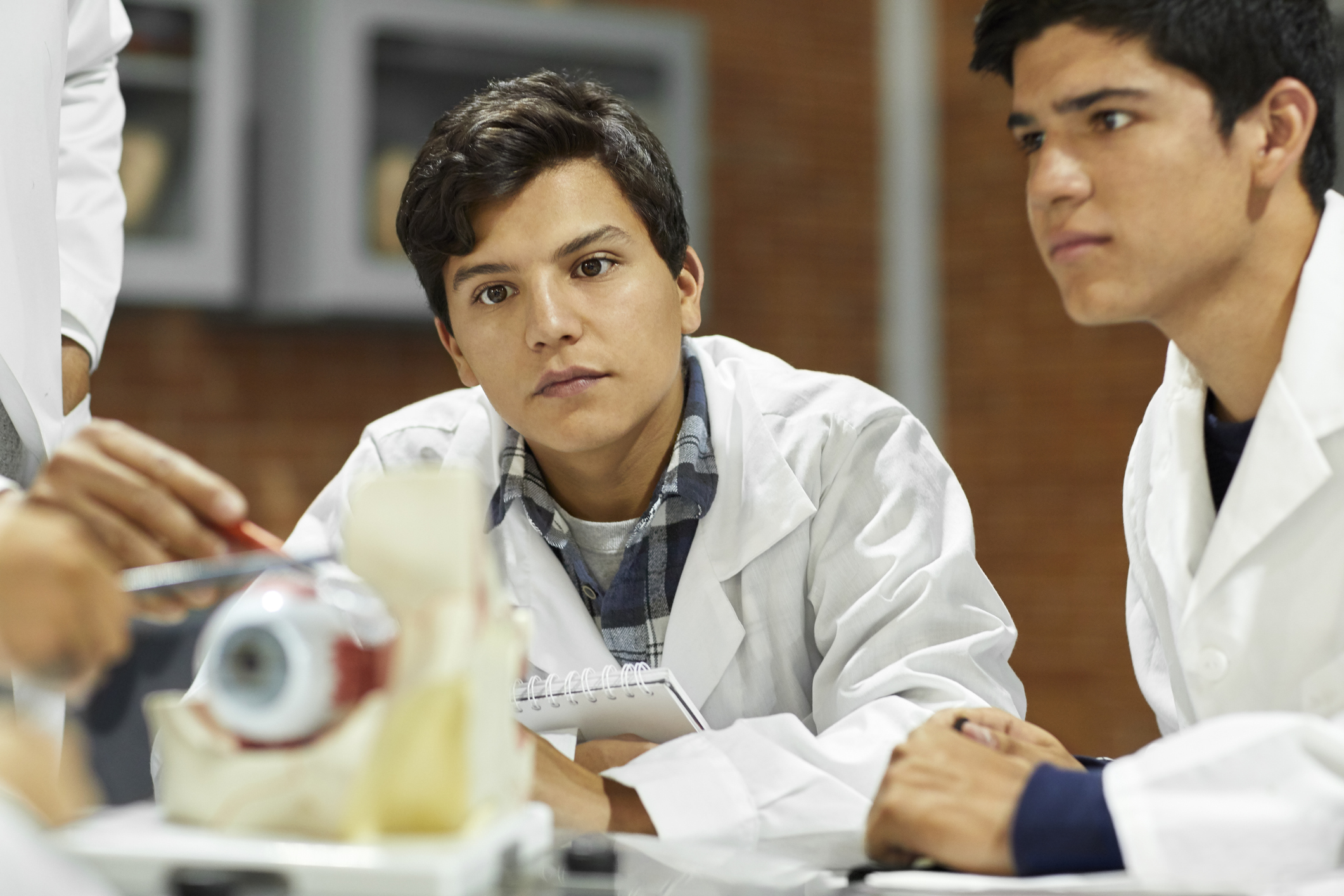 Students studying over anatomical model