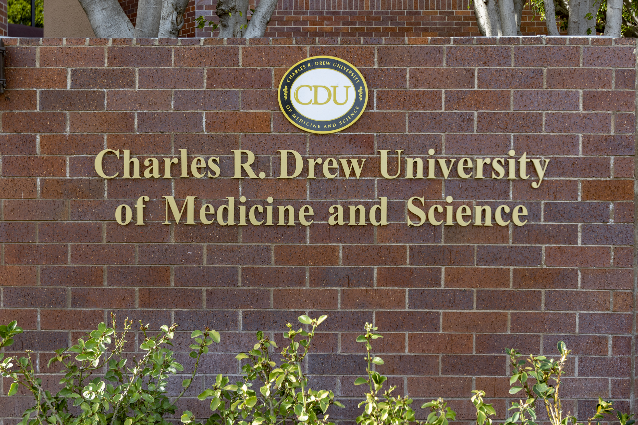 Drew-University-of-Medicine-and-Science