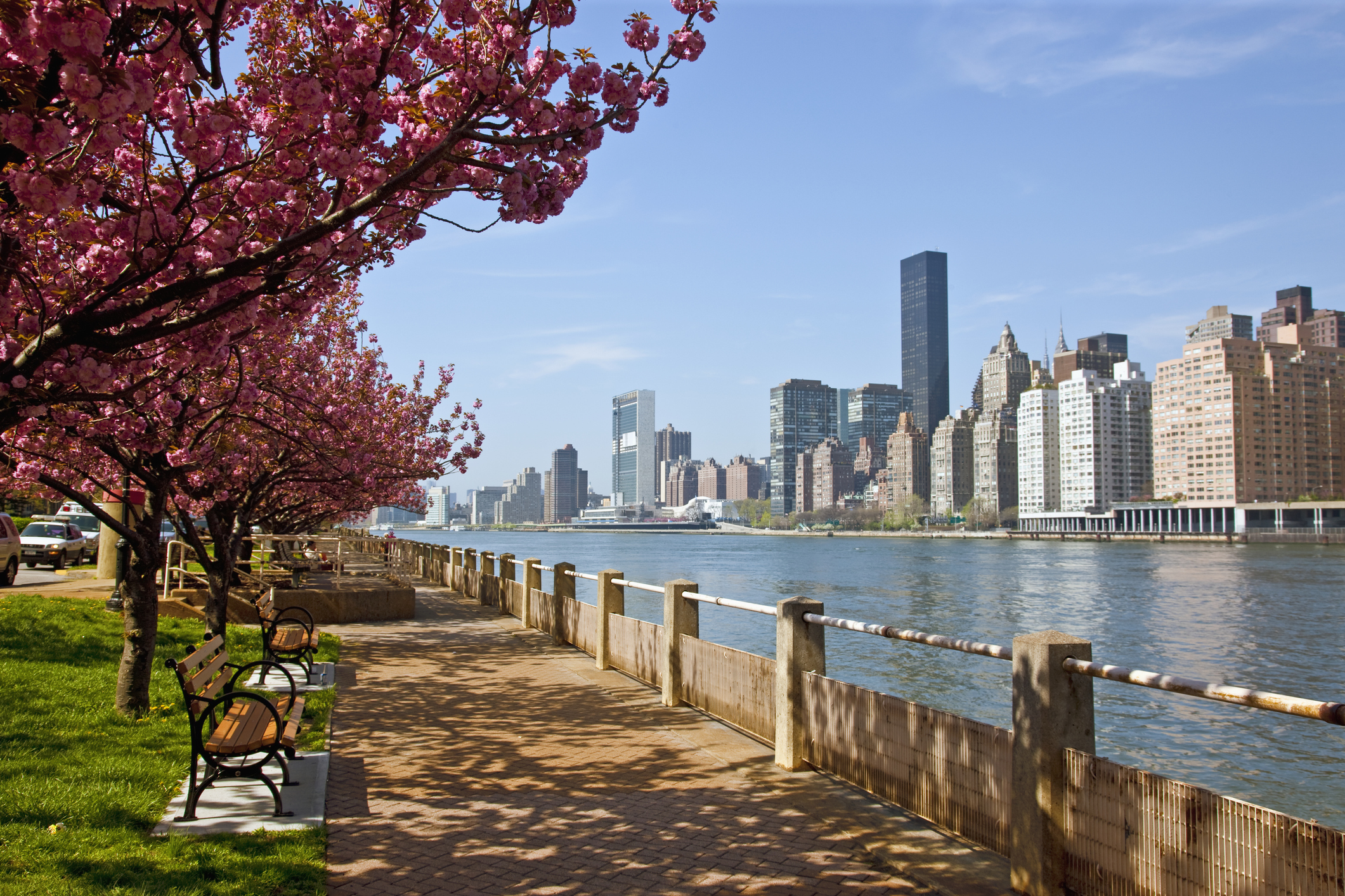 Best Nurse Practitioner Programs in New York of 2025