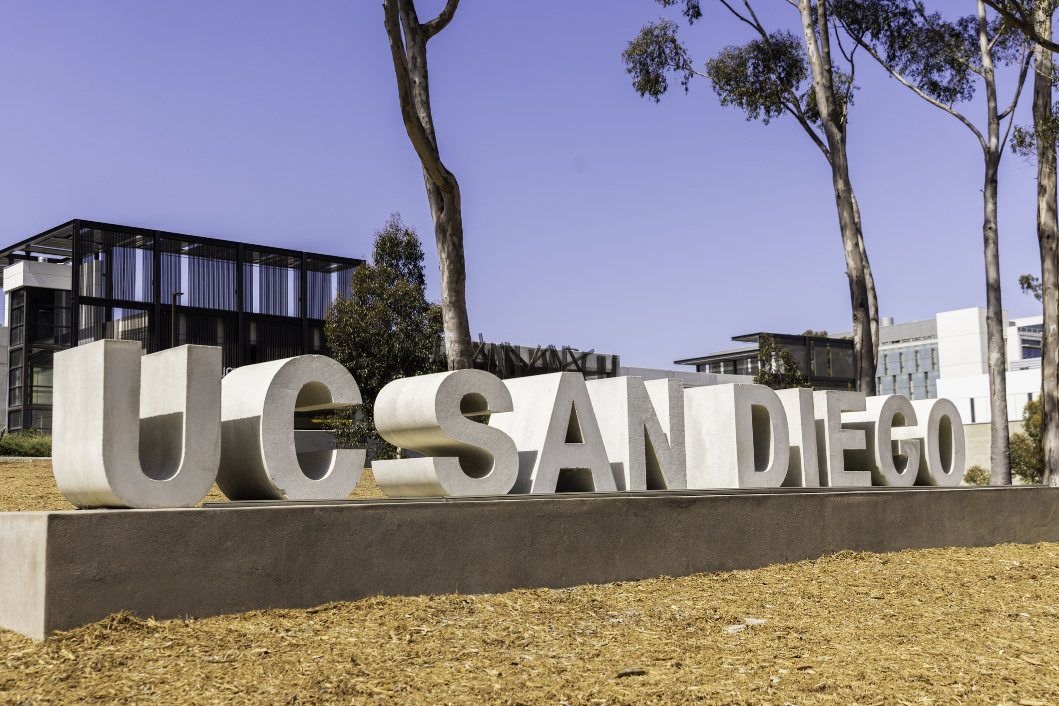 University of California at San Diego