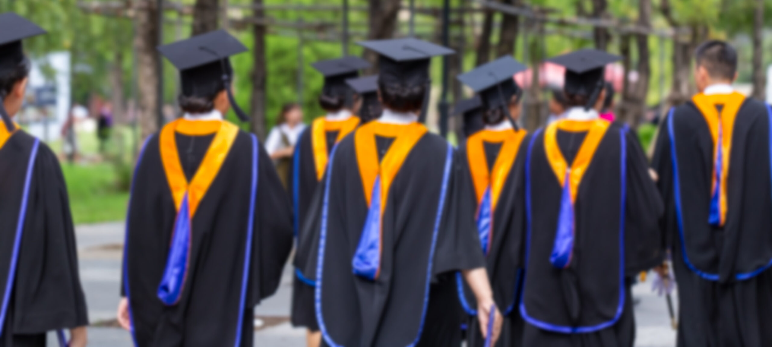 Blurred image back side view a group higher education graduation of graduates during commencement. Congratulation in University concept, Education concept.