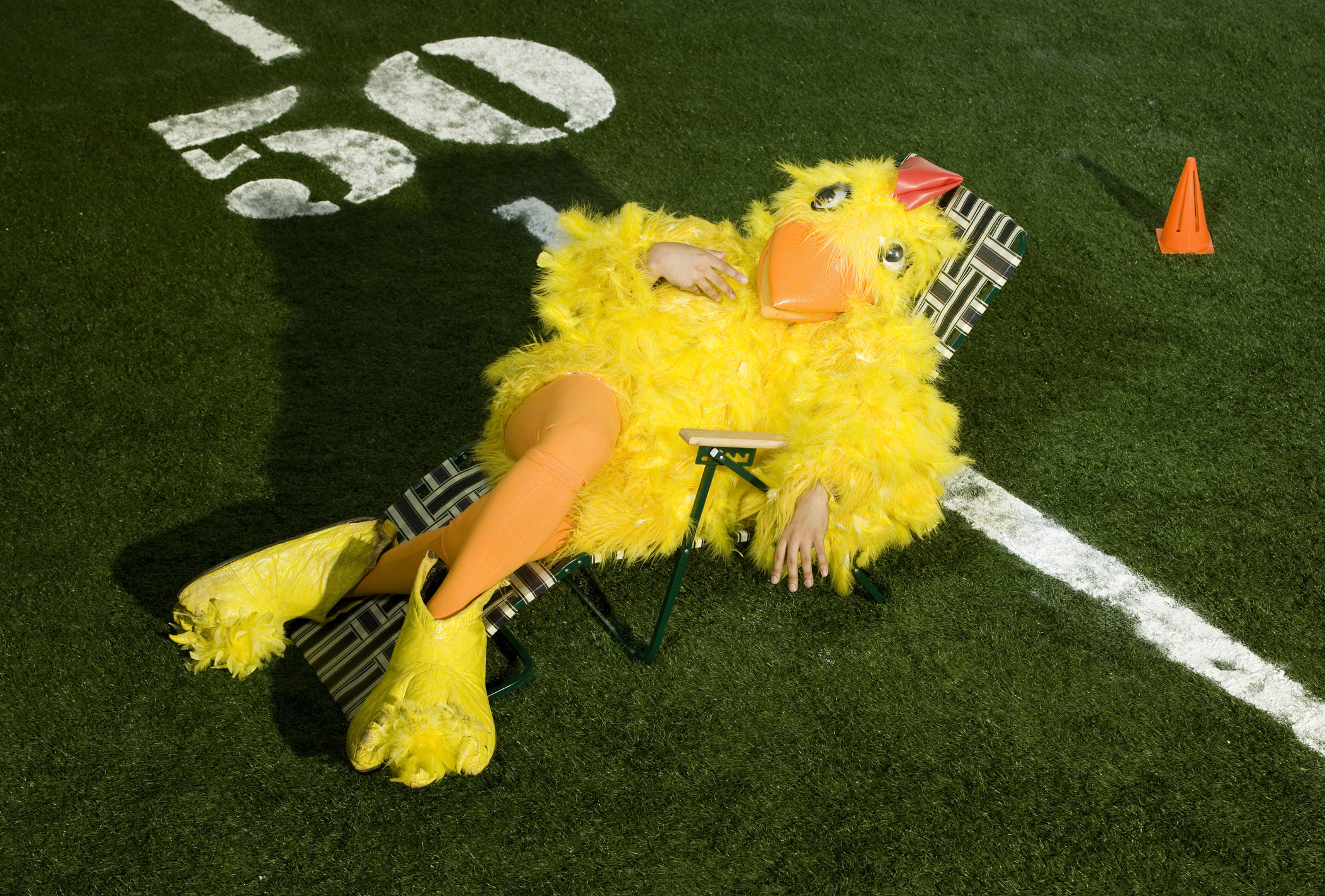 7 Weirdest College Mascots in California