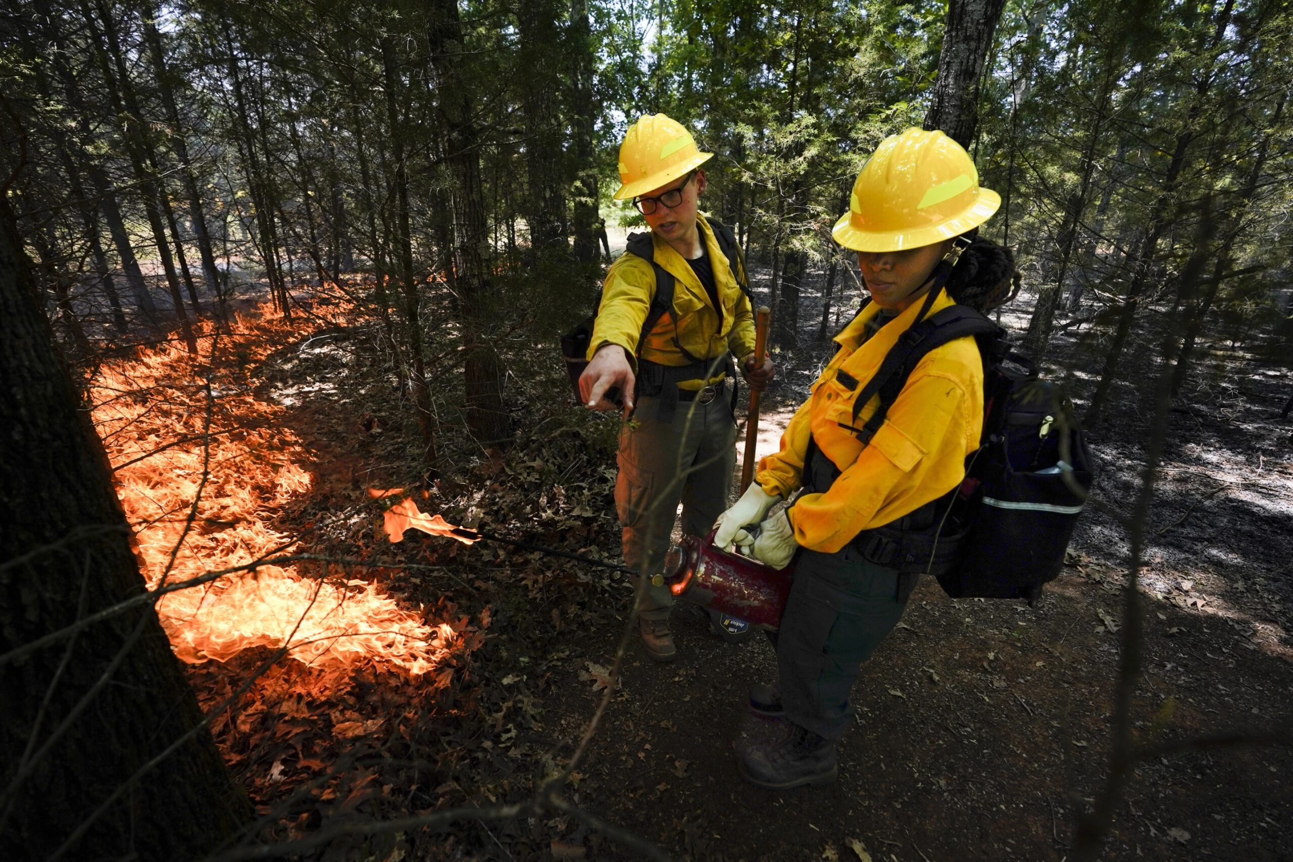 Students with the AAMU FireDawgs program participate in a controlled burn.