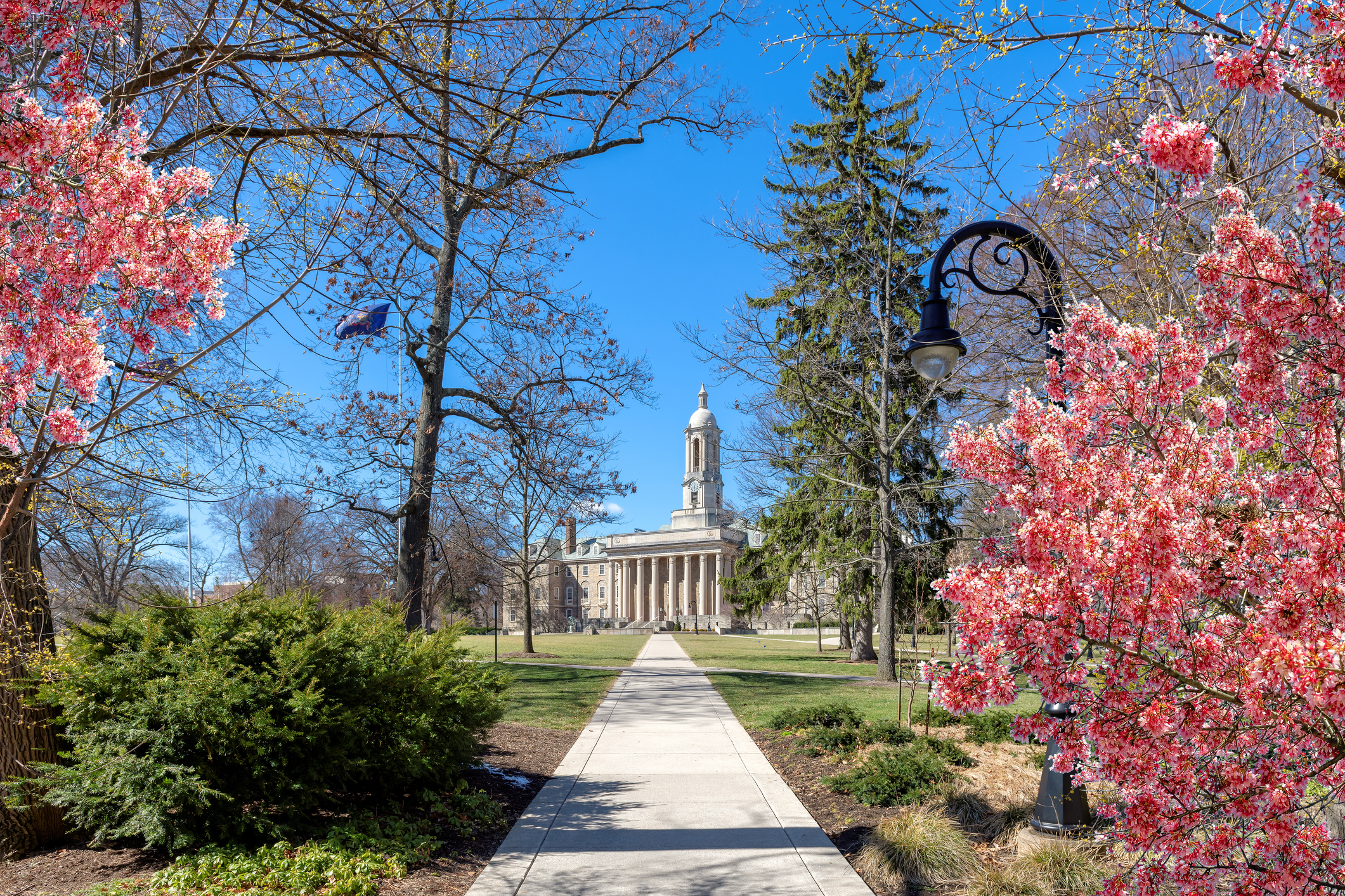 Public Universities in Pennsylvania: A Complete List