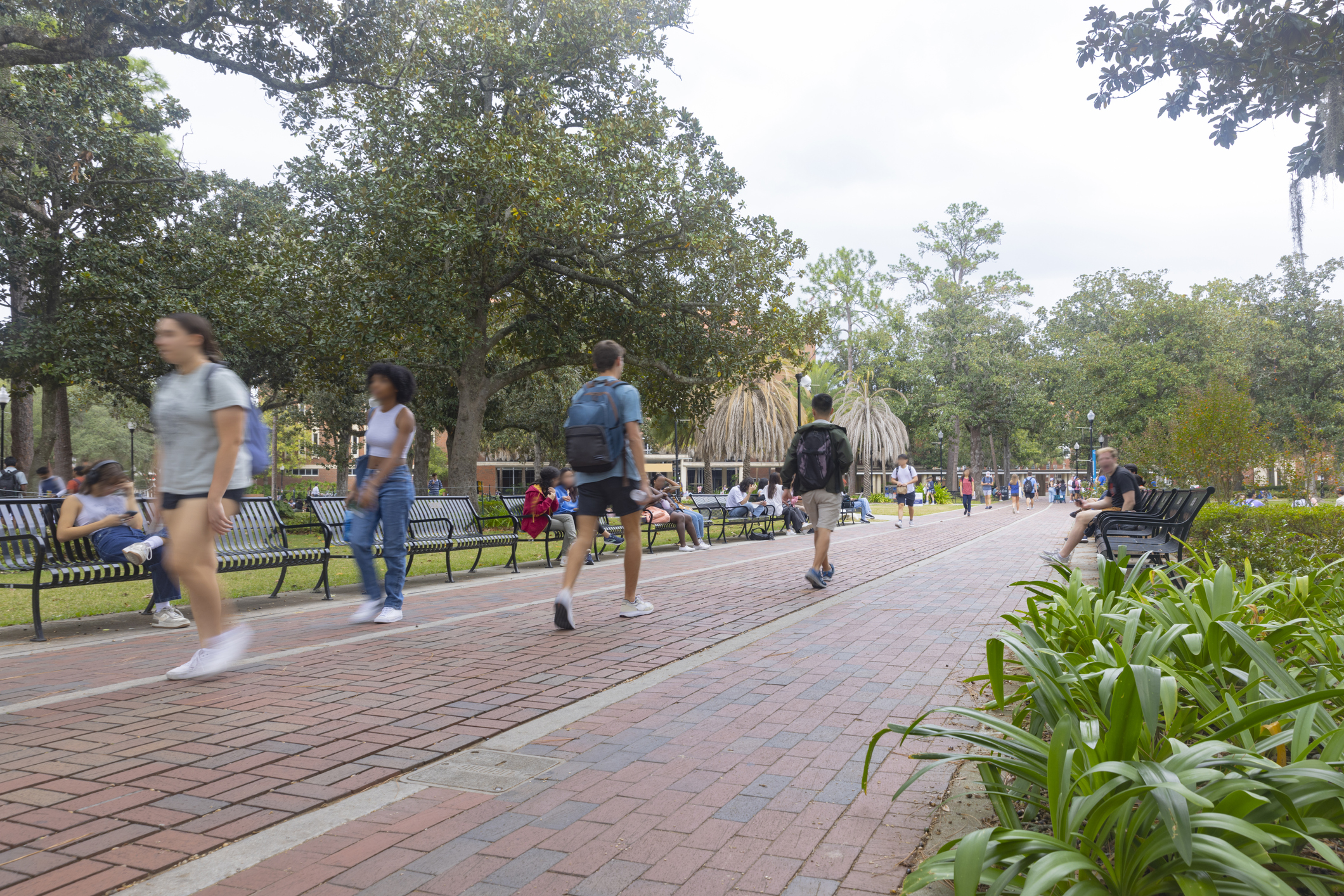 Public Universities in Florida: A Complete List