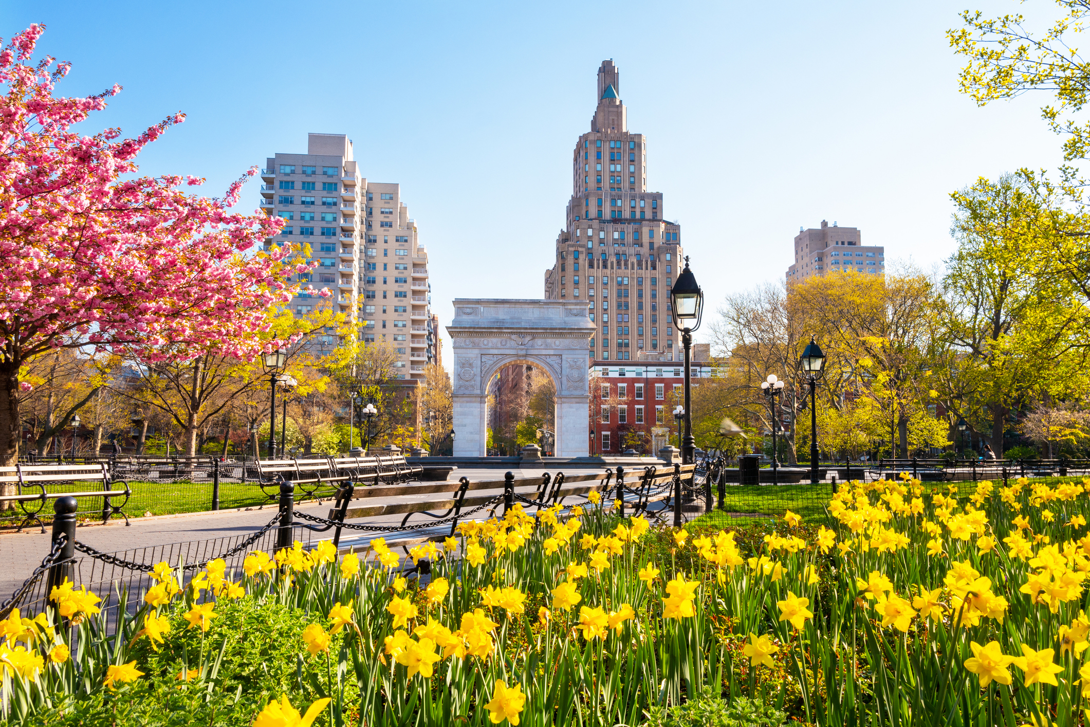 Washington Square Park in New York City