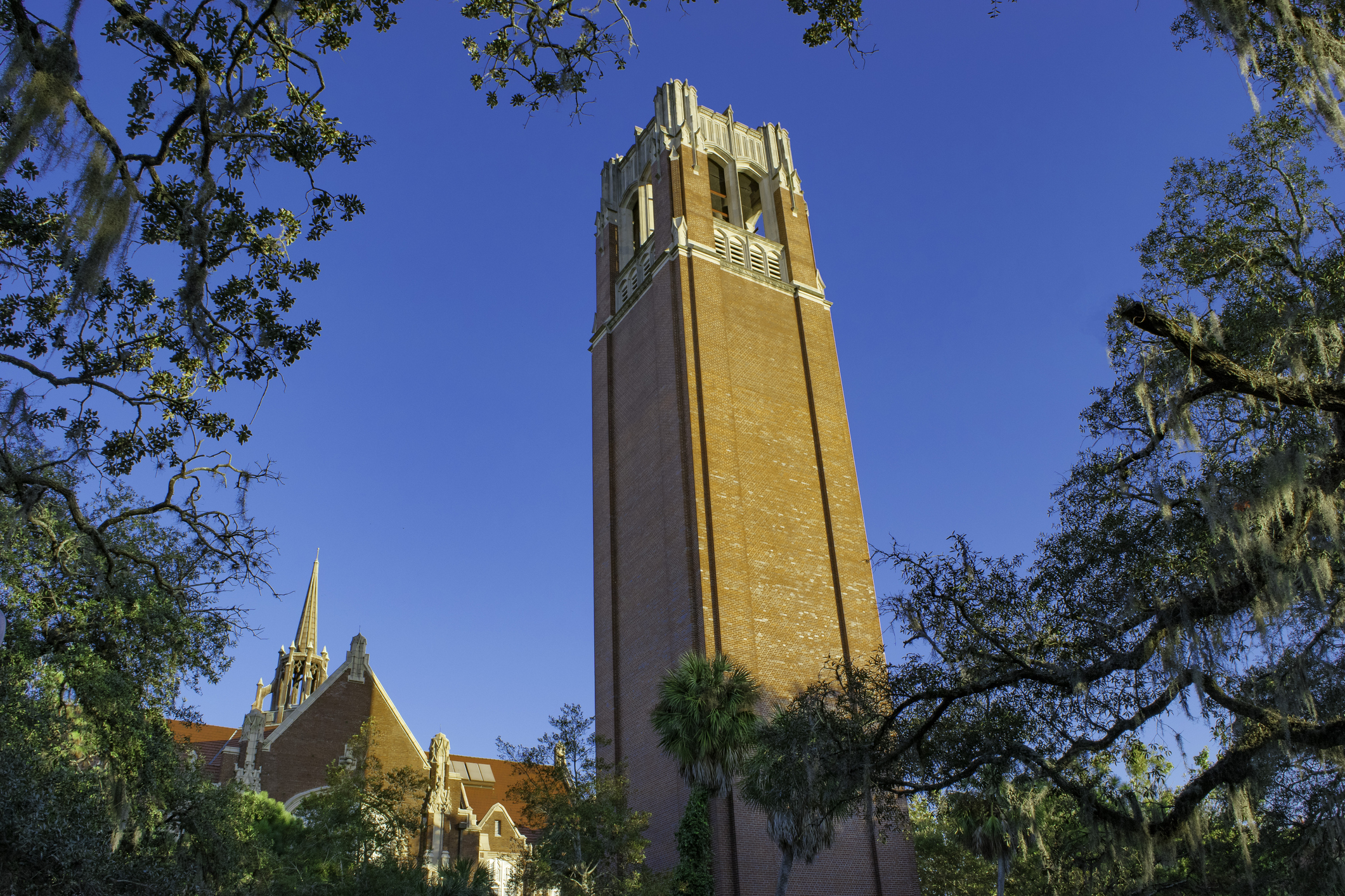 Florida In-State vs. Out-of-State Tuition